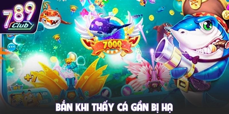 Bắn khi thấy cá gần bị hạ