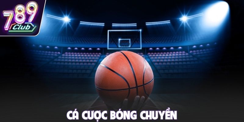 Cá Cược Bóng Chuyền