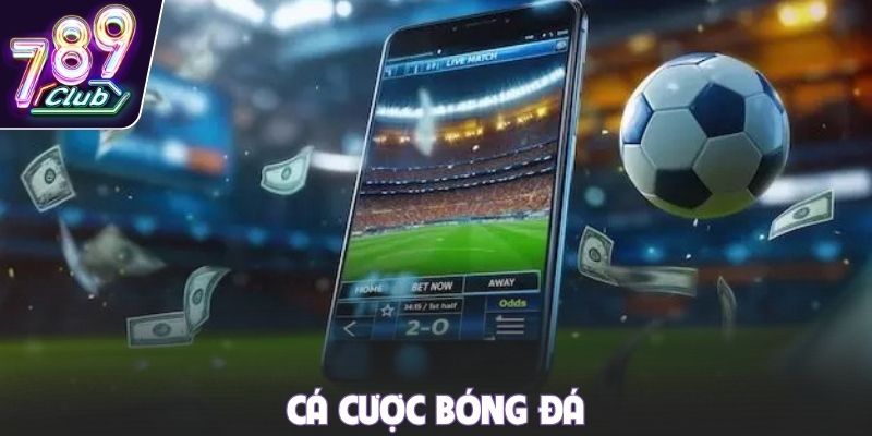 Cá cược bóng đá