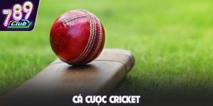 Cá cược Cricket