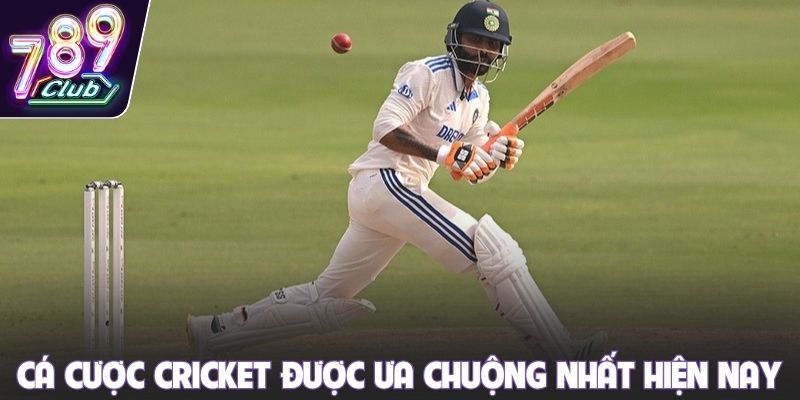 Cá cược Cricket được ưa chuộng nhất hiện nay