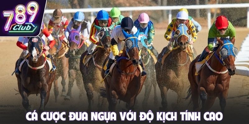 Cá cược đua ngựa với độ kịch tính cao