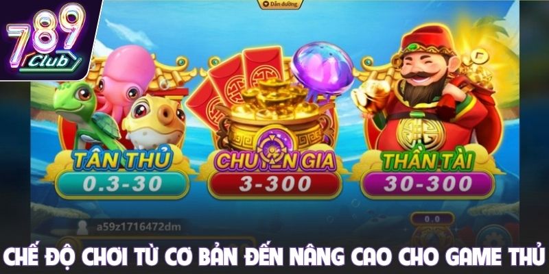 Chế độ chơi từ cơ bản đến nâng cao cho game thủ