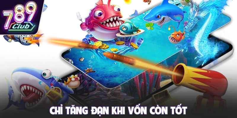 Chỉ tăng đạn khi vốn còn tốt
