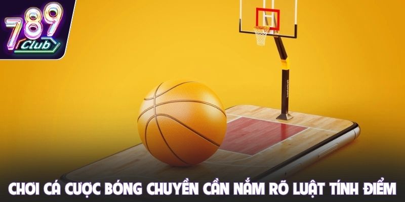 Chơi cá cược bóng chuyền cần nắm rõ luật tính điểm