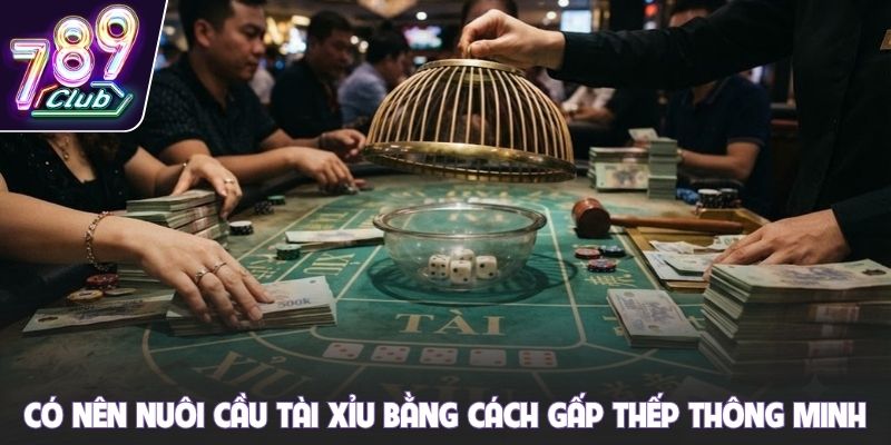 Có nên nuôi cầu Tài Xỉu bằng cách gấp thếp thông minh