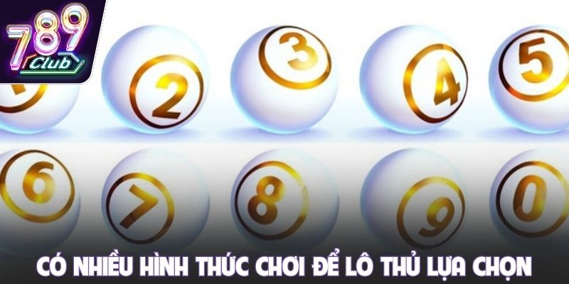 Có nhiều hình thức chơi để lô thủ lựa chọn