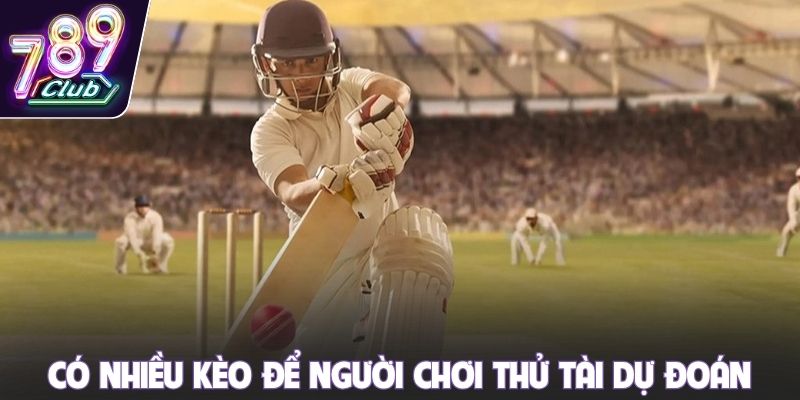 Có nhiều kèo để người chơi thử tài dự đoán