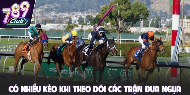Có nhiều kèo khi theo dõi các trận đua ngựa