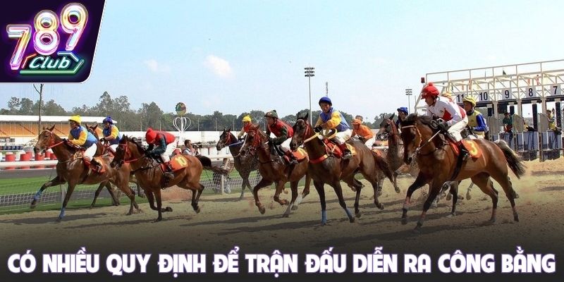 Có nhiều quy định để các trận đấu diễn ra công bằng