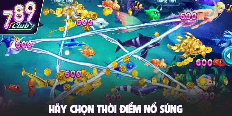 Hãy chọn thời điểm nổ súng