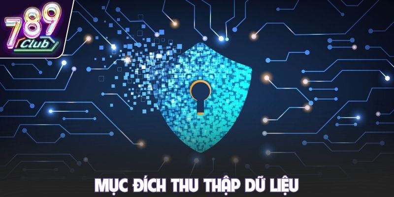 Mục đích thu thập dữ liệu