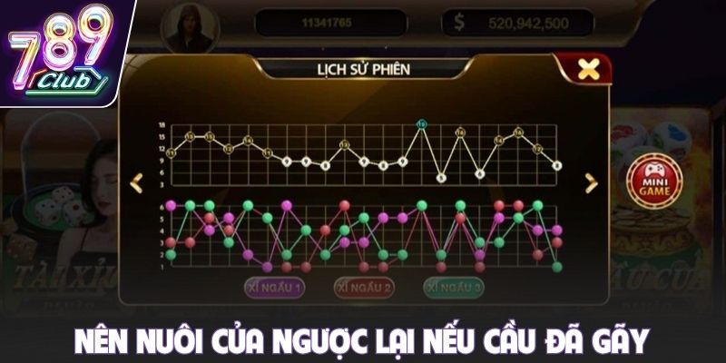Nên nuôi của ngược lại nếu cầu đã gãy