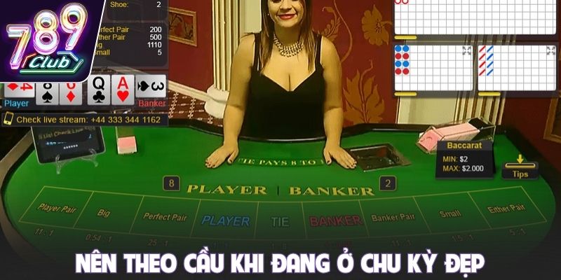 Nên theo cầu khi đang ở chu kỳ đẹp