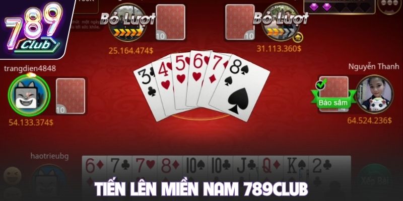 Tiến lên miền Nam